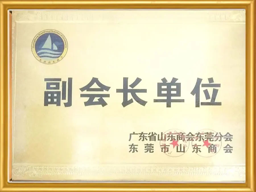 Vice-Chairman Unit