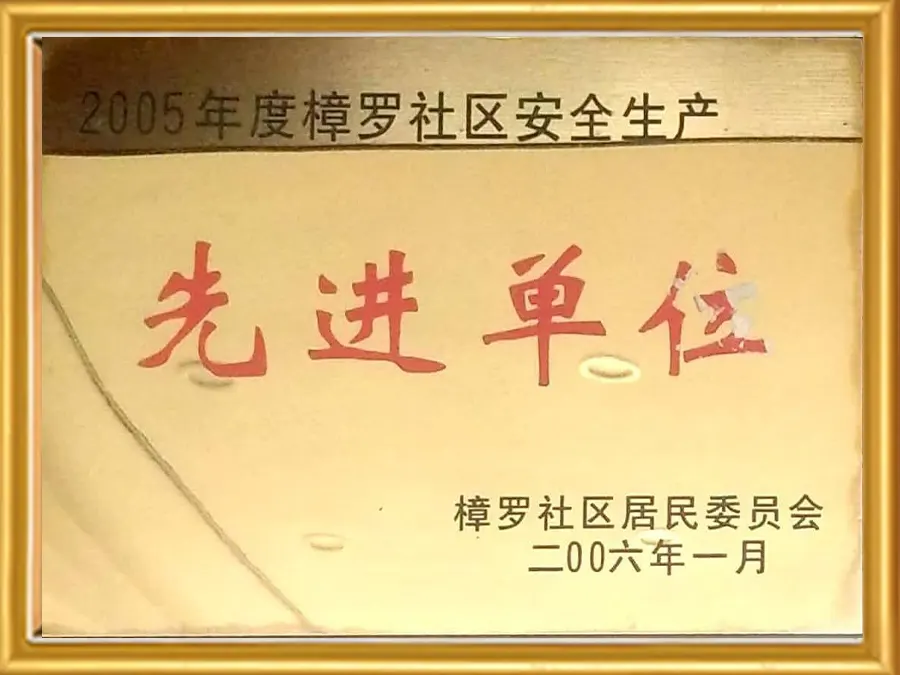 Advanced Unit of Zhangluo Community