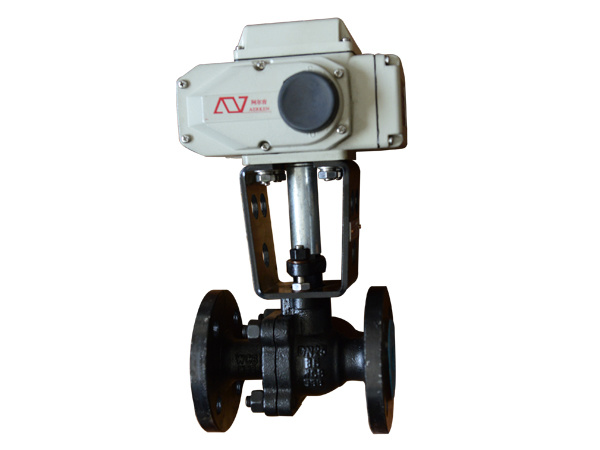 Electric valve
