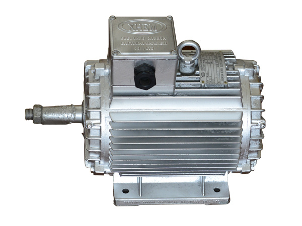 High temperature resistant motor