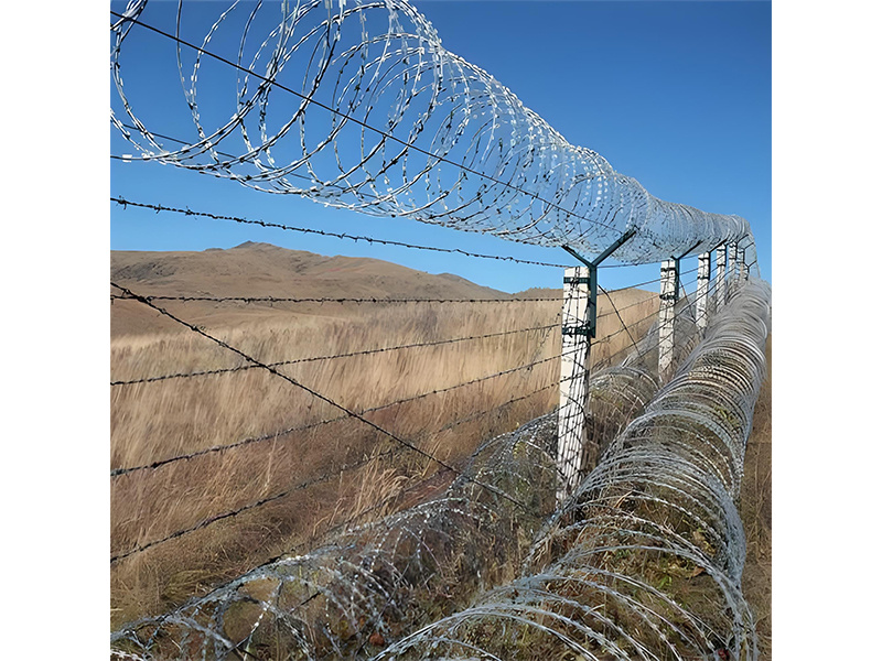 Razor wire