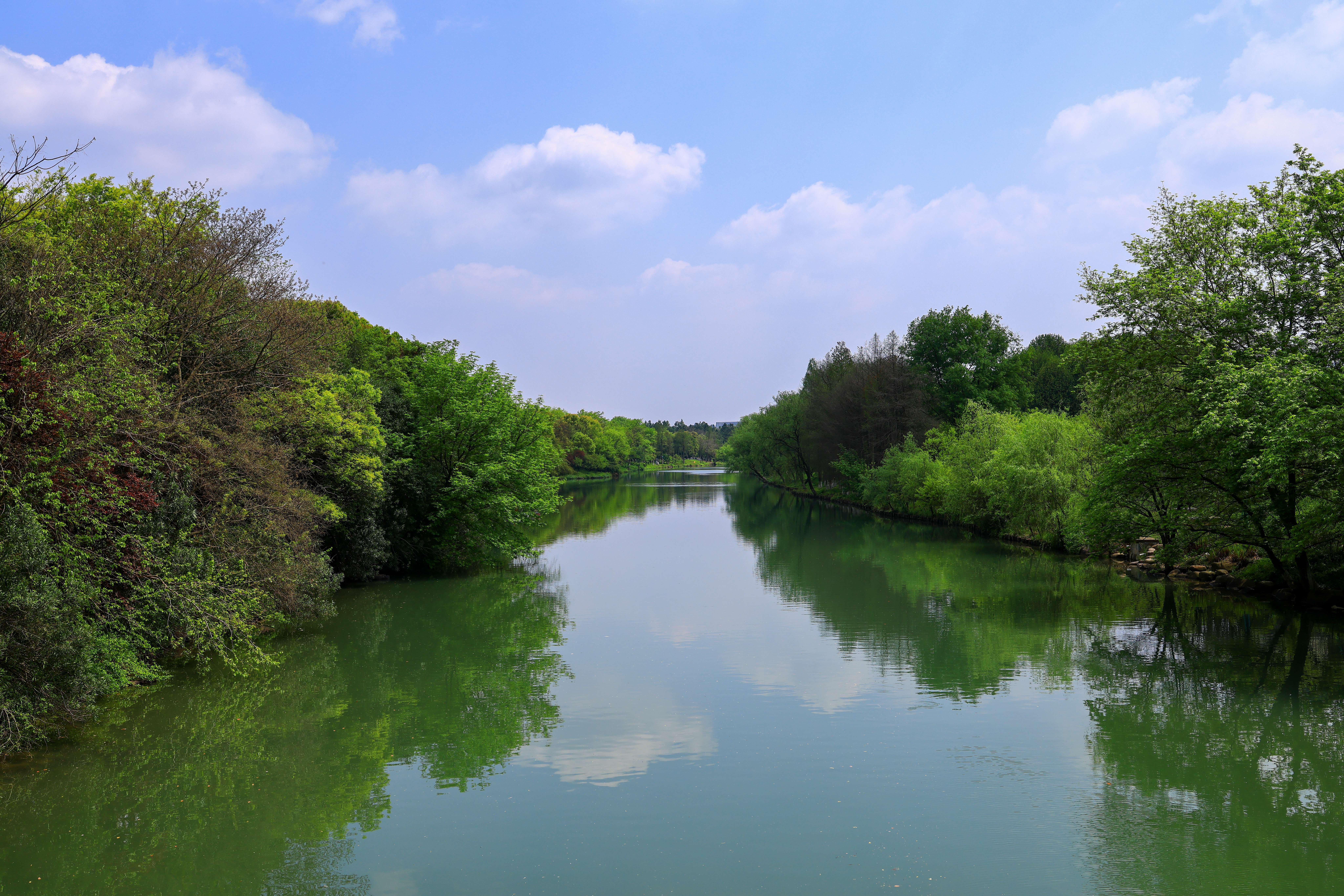 國(guó)土空間生態(tài)修復(fù)專題研究