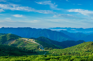 截止10月15日！“國地杯”第五屆大學生自然資源科技大賽二號通知