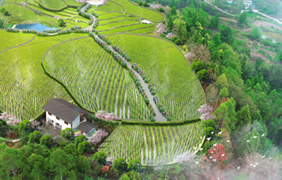 重慶市銅梁區(qū)全域土地綜合整治及現(xiàn)代農(nóng)業(yè)產(chǎn)業(yè)項目