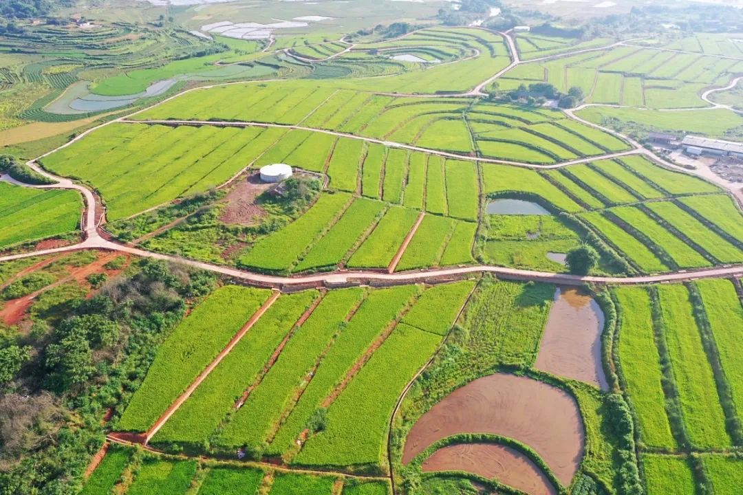 2025超好看的手机墙纸
