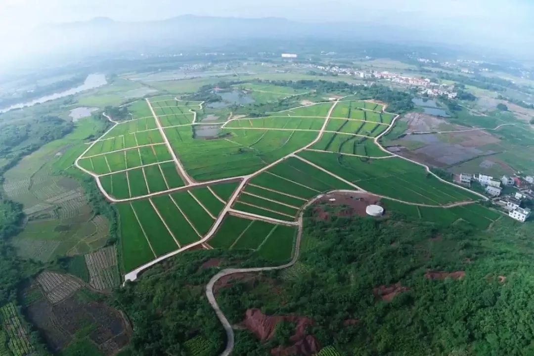 2025超好看的手机墙纸