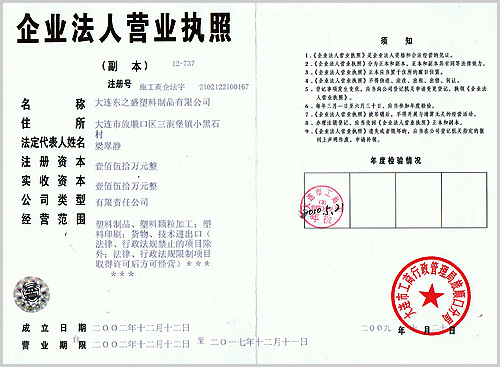 执照