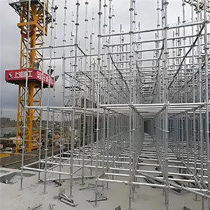 Scaffold