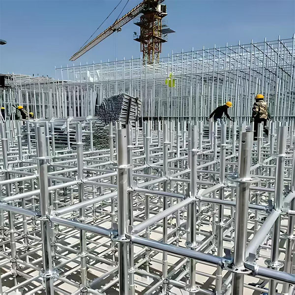 Scaffolding Buckle