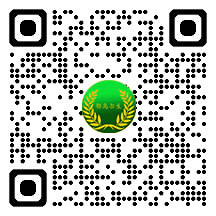 Mobile Website Mobile Website