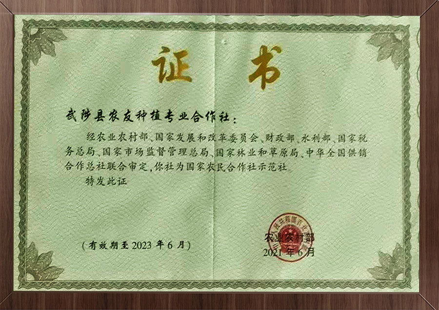 證書