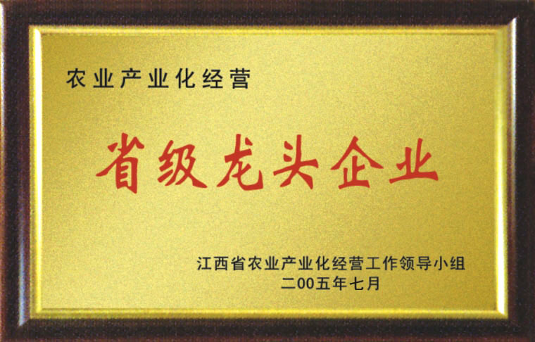 省級(jí)龍頭企業(yè)