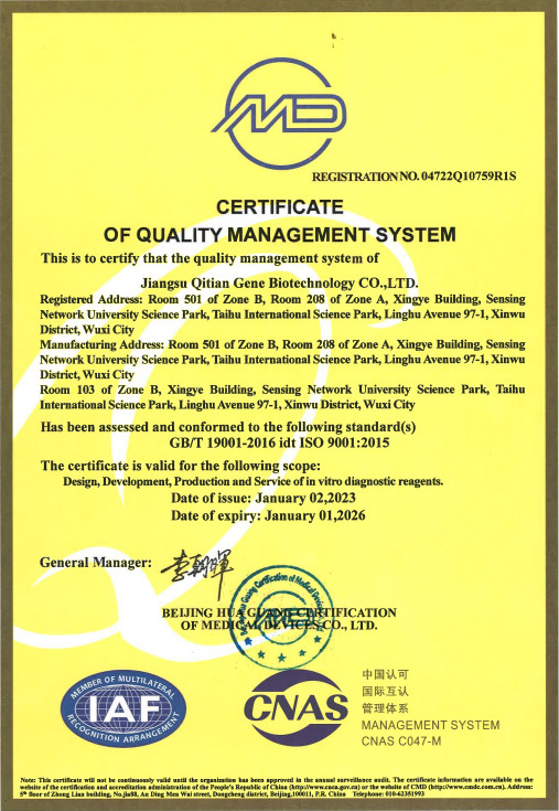 ISO9001 ISO9001