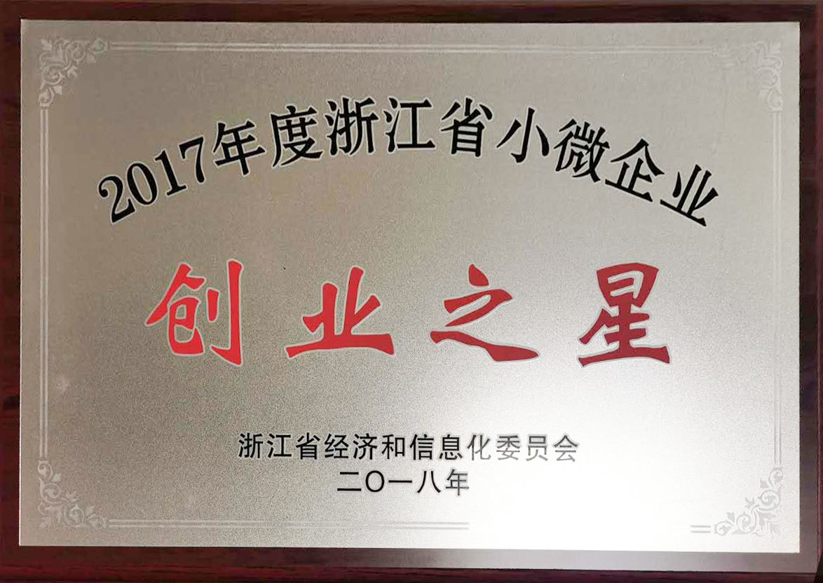 2017年度浙江省小微企业创业之星