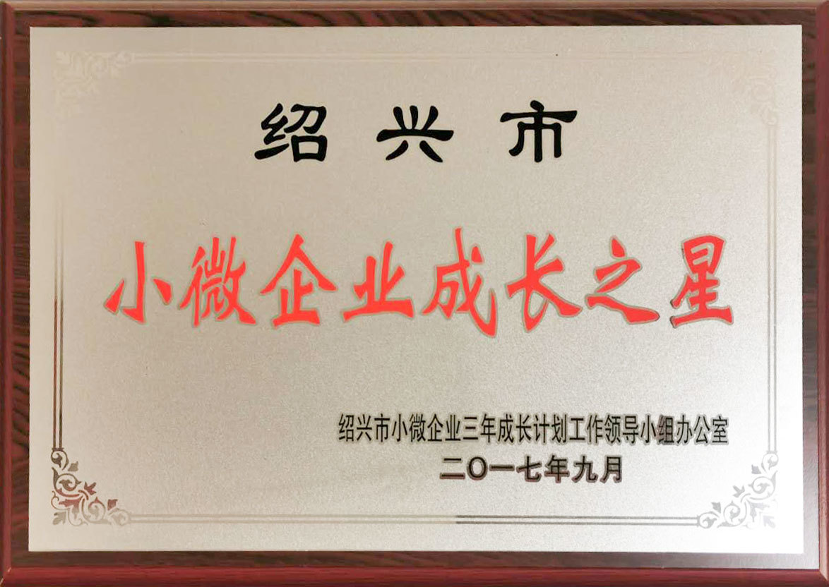 小微企业成长之星
