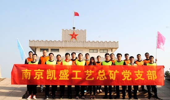 南京凱盛國際工程有限公司