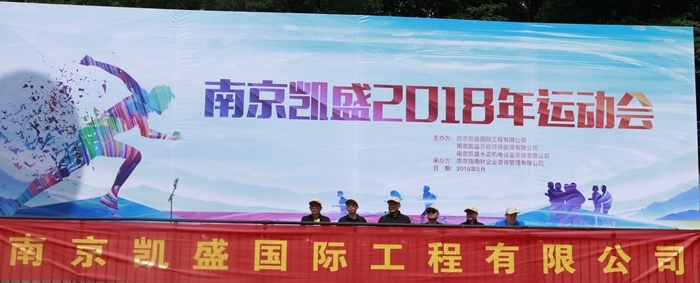 南京凱盛國(guó)際工程有限公司