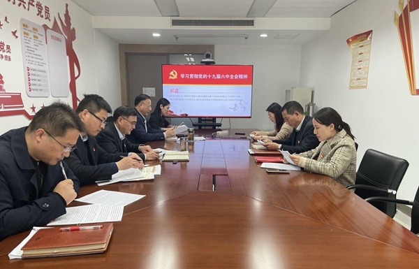 南京凱盛認真學習貫徹黨的十九屆六中全會精神
