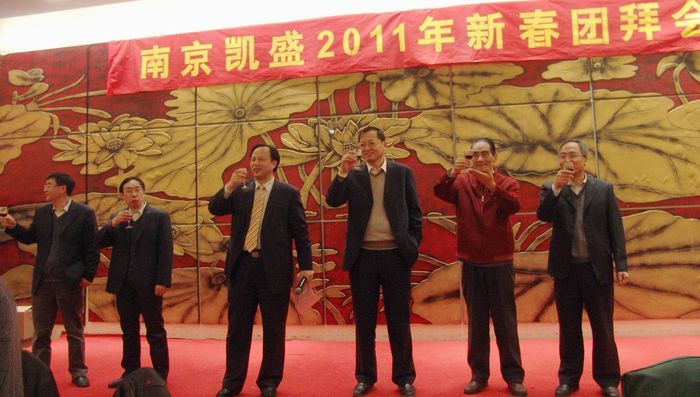 南京凱盛國際工程有限公司