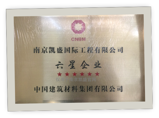 中國建材集團六星企業(yè)