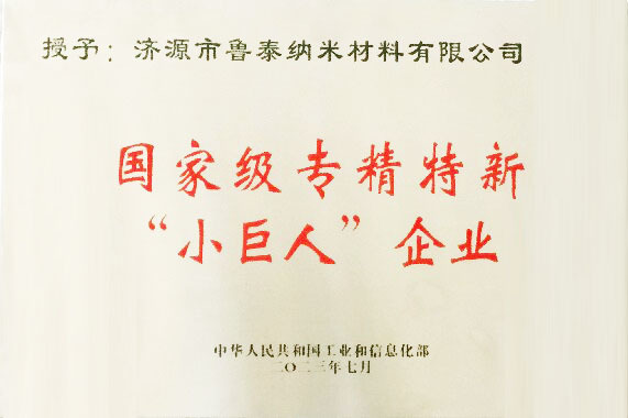 专精特新小巨人企业 专精特新小巨人企业
