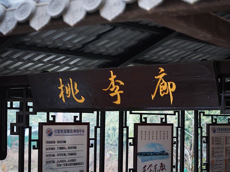 校园全景
