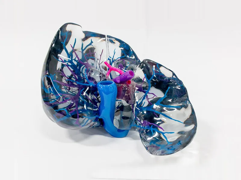 PolyJet
