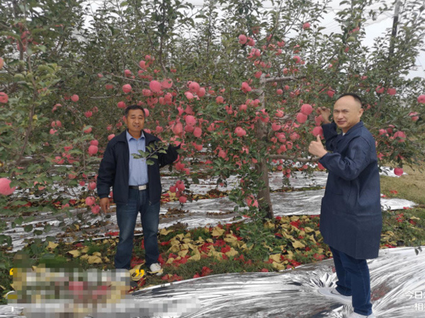 产品效果