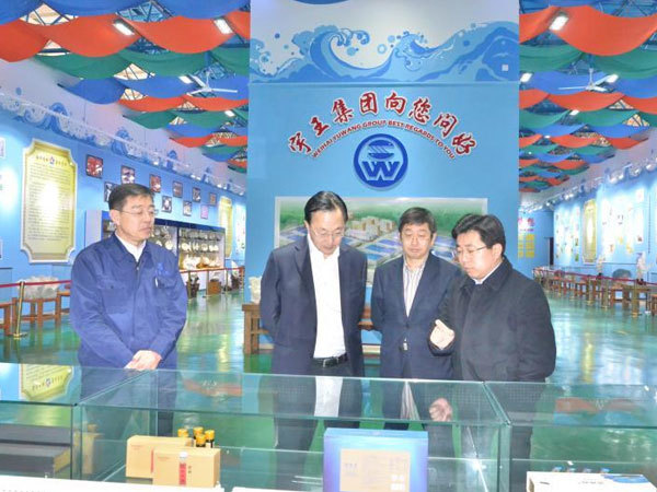 威海人大于东海副主任考察宇王集团