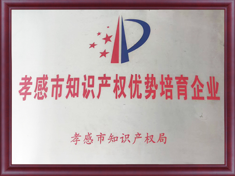 孝感市知识产权优势培育企业