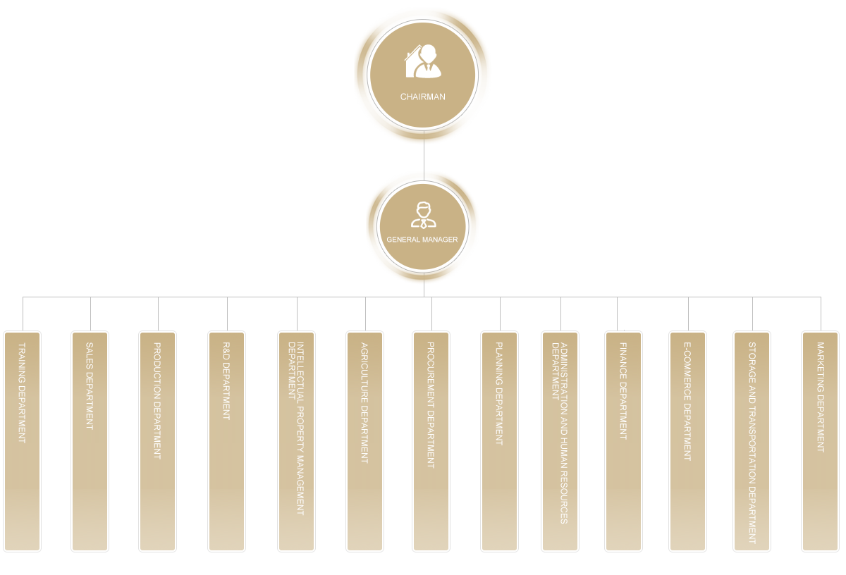 Organizational Structure
