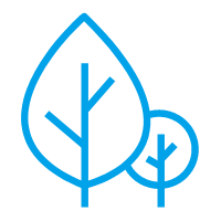 Agroforestry Industry
