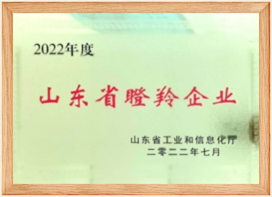 山东省瞪羚企业