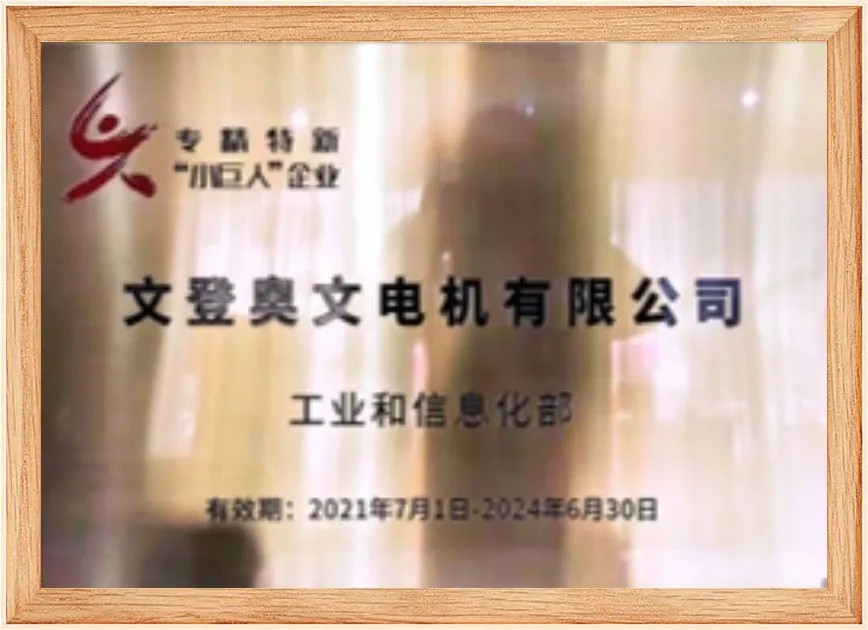 专精特新“小巨人”企业
