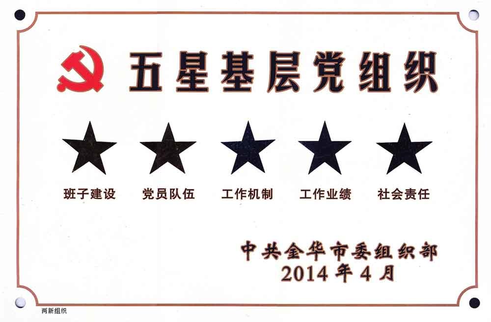 Five-star grassroots Party organization