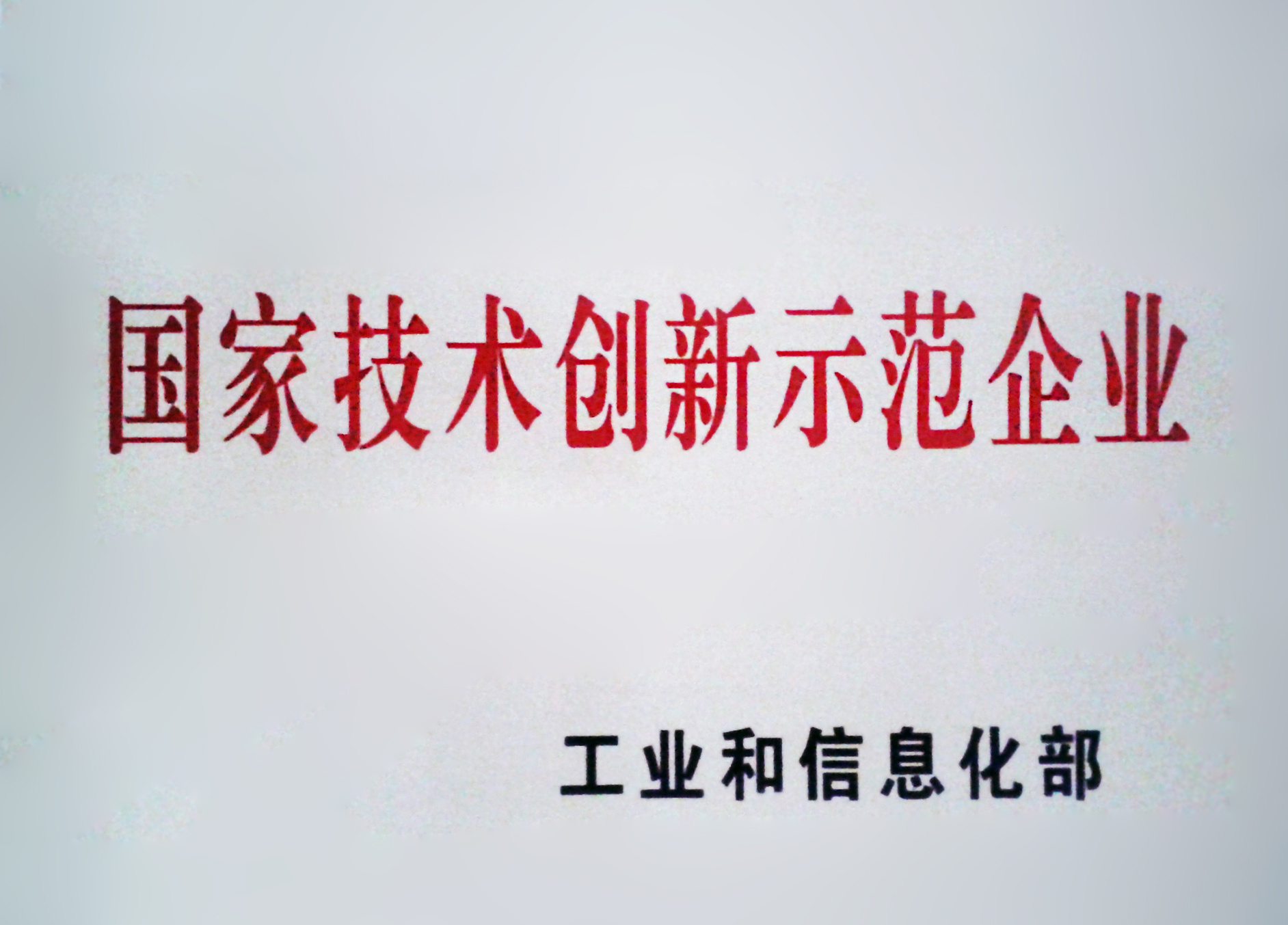 国家技术创新示范企业副本