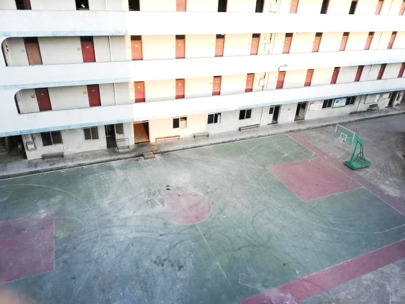 公司展示
