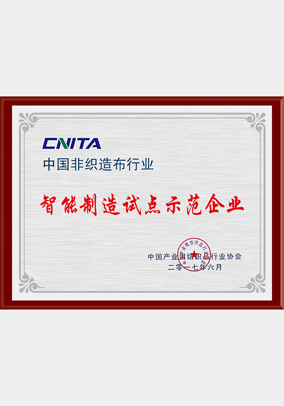 中国非织造布行业智能制造试点示范企业