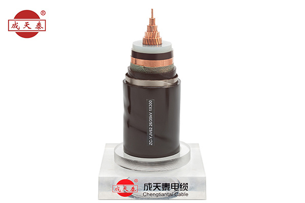 Copper core, XLPE insulated, PE sheathed power cable