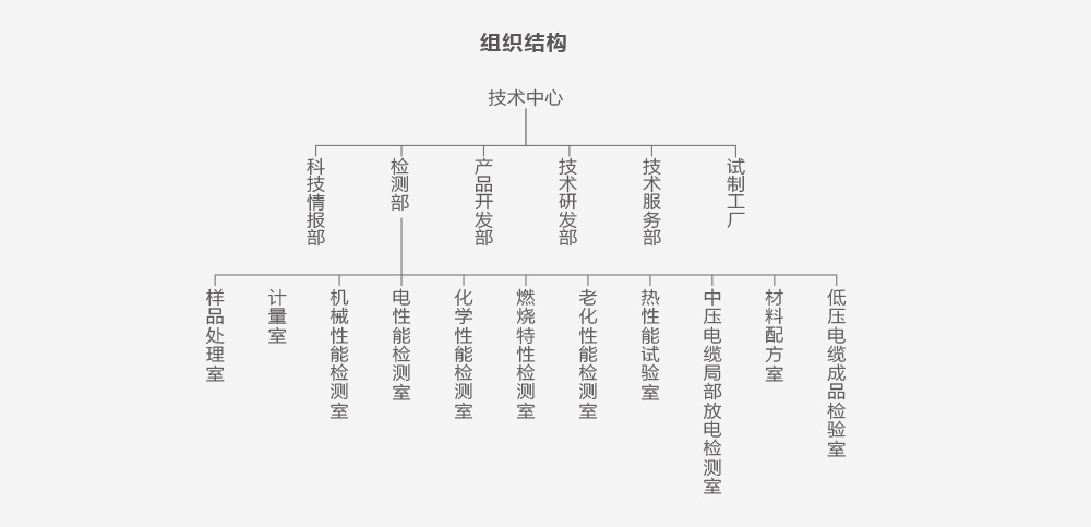 组织架构 组织架构