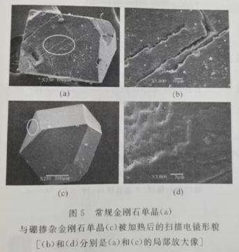 硼掺杂金刚石受热后的表面形貌观察
