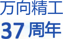 浙江万向精工有限公司 浙江万向精工有限公司