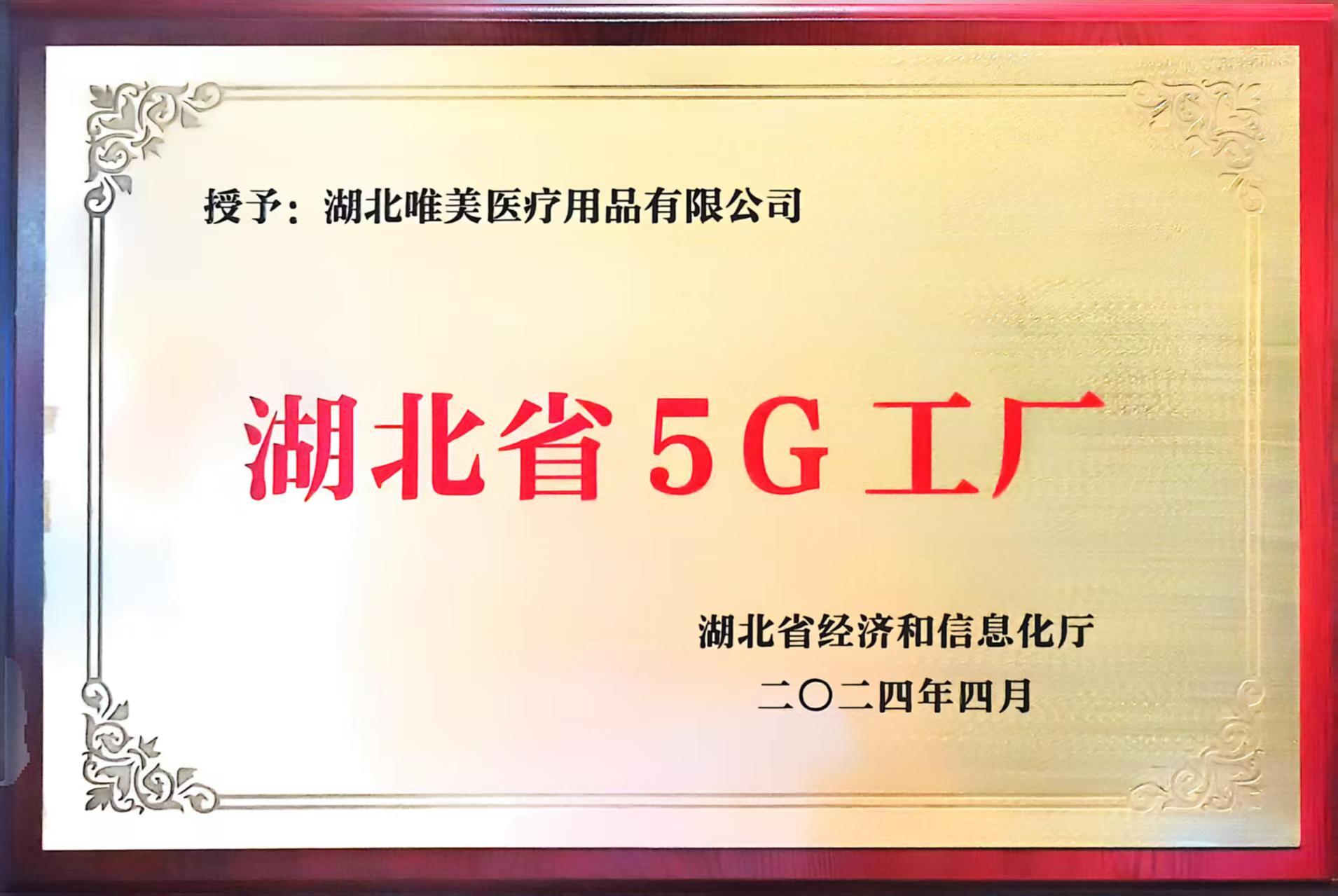 湖北省5G工厂