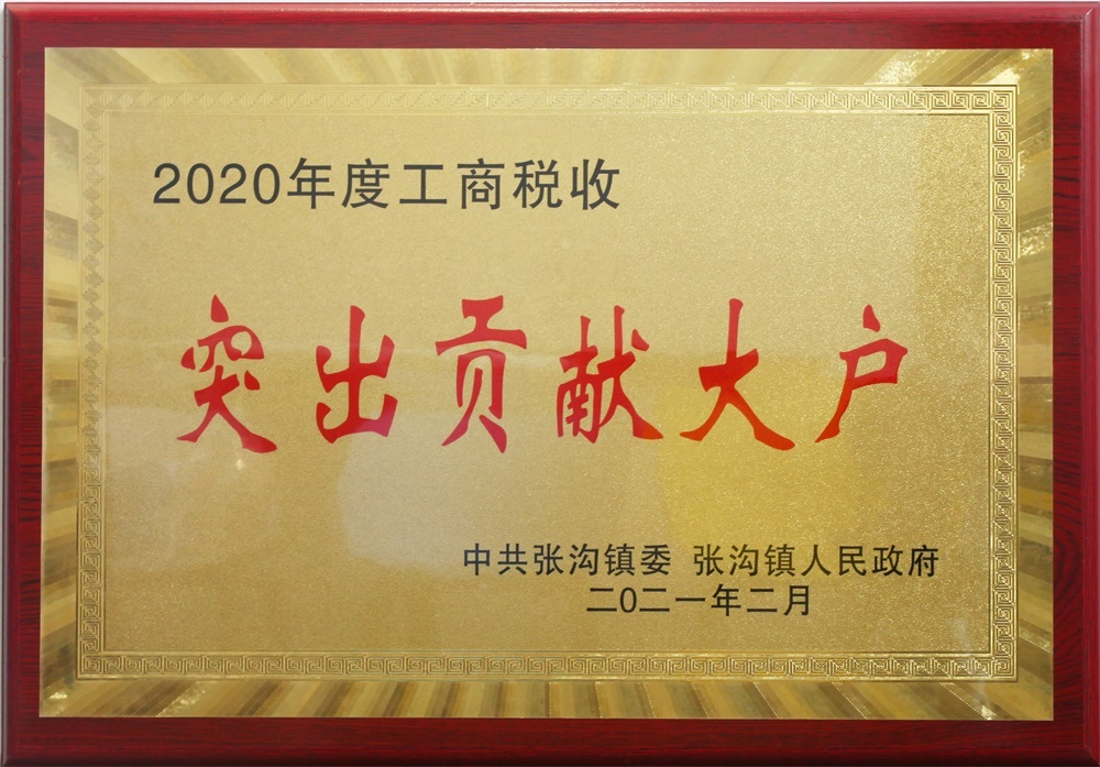2020年度工商税收突出贡献大户