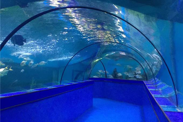 Acrylic Tunnel