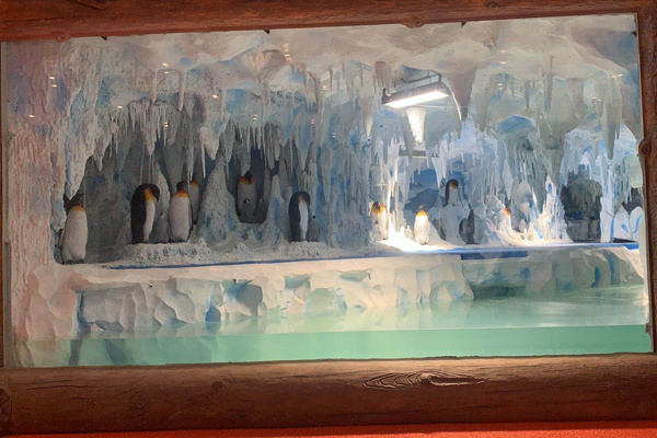 Acrylic Window