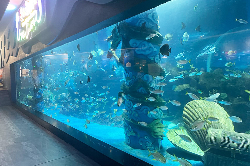 Acrylic Aquarium Acrylic Aquarium