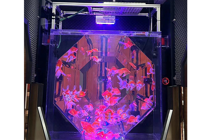 Acrylic cylinder