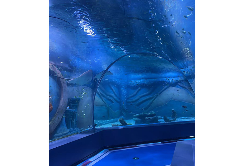 Acrylic Tunnel