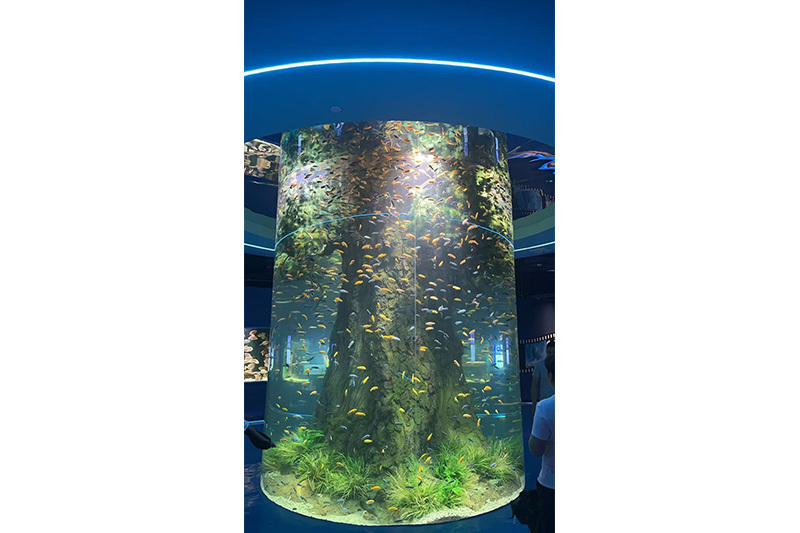 Acrylic cylinder